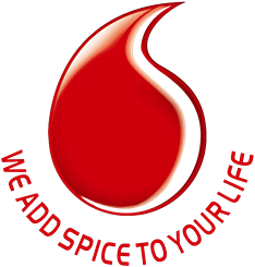 Spice Solutions Your Complete Business Partner